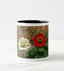 White Zinnia and Red Zinnia Beverage Mug